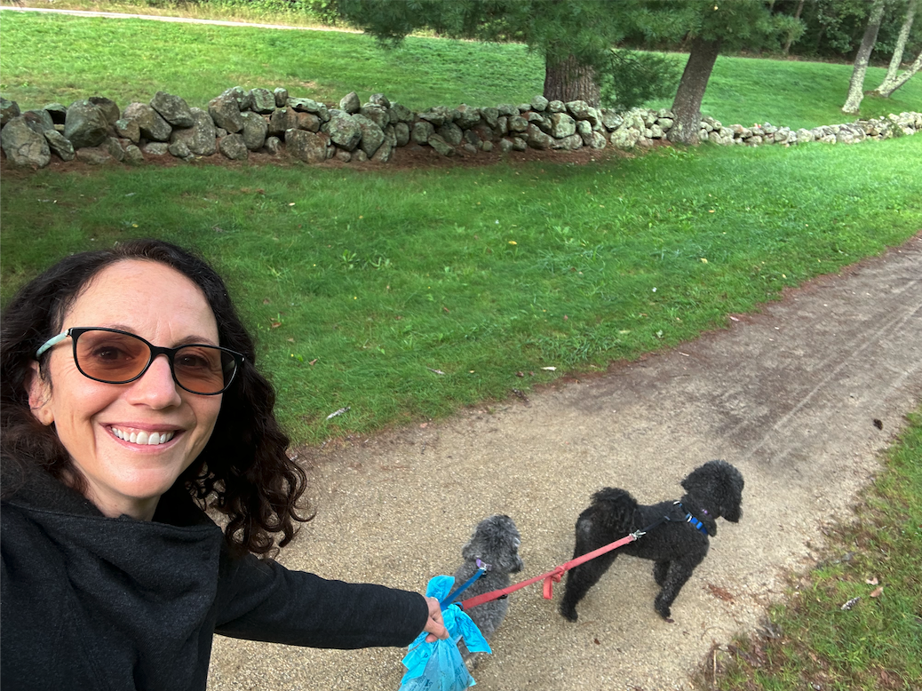 Miki walking her 2 poodles